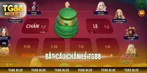 Bắt cầu chẵn lẻ TG88