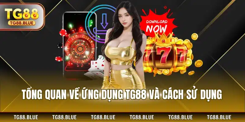 Tổng quan về ứng dụng TG88 và cách sử dụng